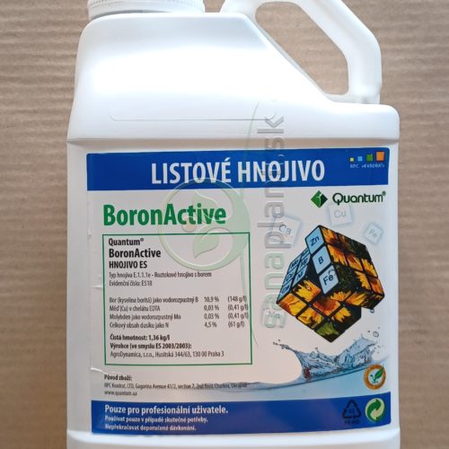 Quantum Boron Active, 5 l