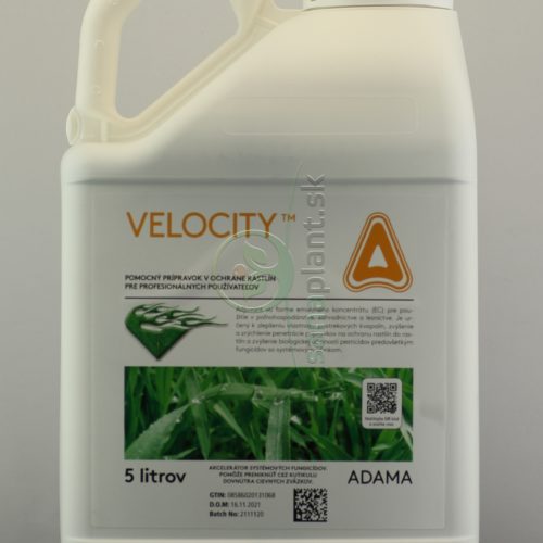 Velocity, 5 l