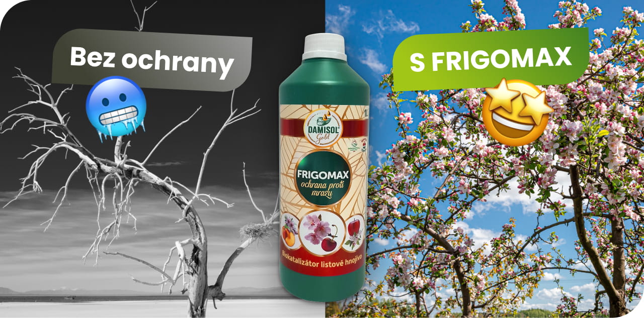 Frigomax – Ochrana pred jarnymi mrazmi (3)