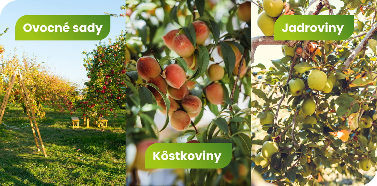 Frigomax – Urcenie – Ovocne sady Kostkoviny Jadroviny (3)