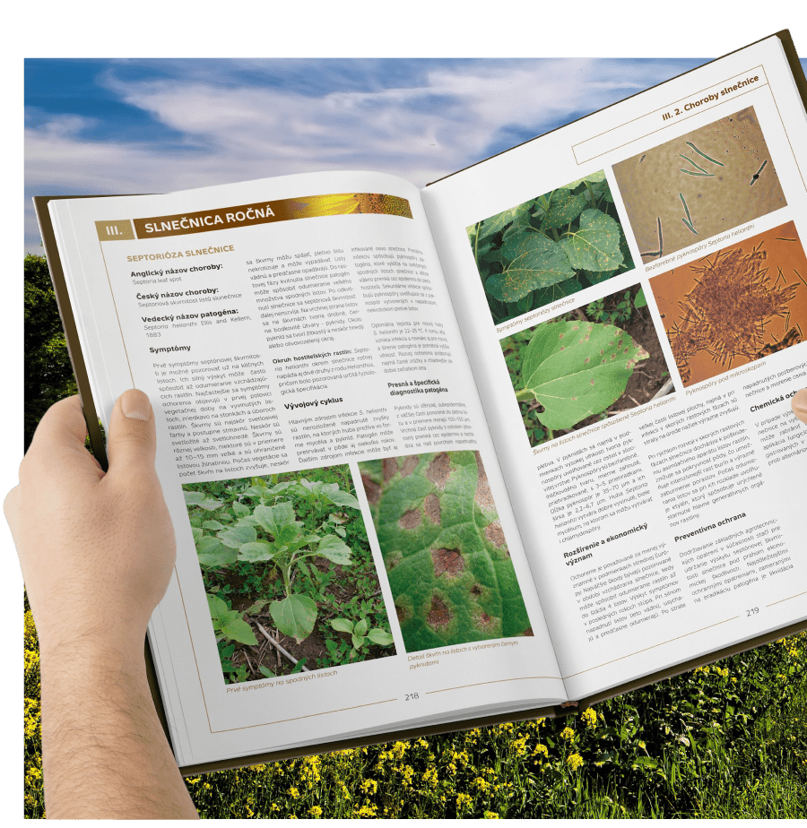 Repka slnecnica mak soja – choroby – skodcovia – buriny – hnojenie – profesionalna ochrana a vyziva – encyklopedia – nahlad 2-min